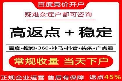 百度竞价推广运营实战技巧与经典案例剖析